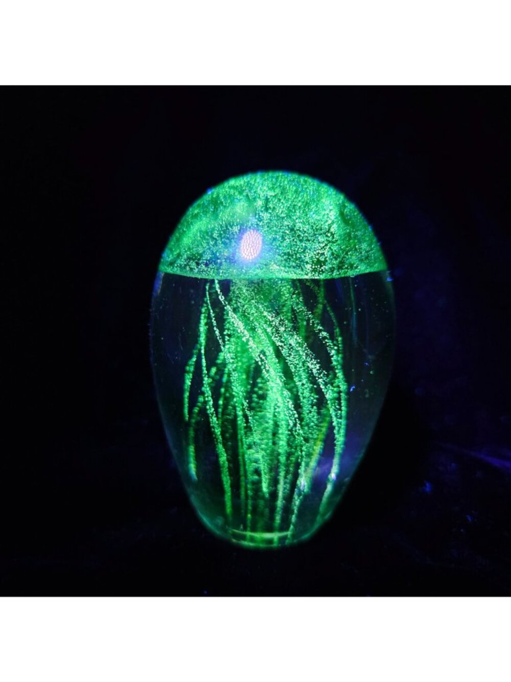 Hand-Blown Glass Jellyfish Paperweight Figurine UV Reactive Green Oval Design - Picture 9 of 9